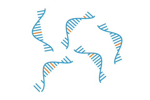 Mrna proces 